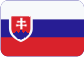 Delta Energy Systems (Czech Republic), spol. s r.o. Slovensky